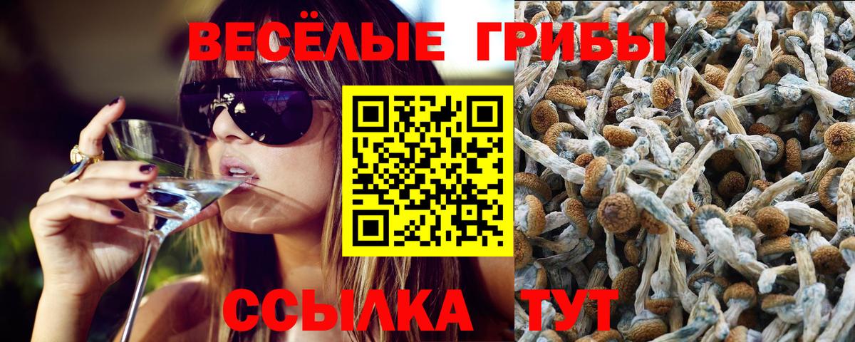 Псилоцибиновые грибы GOLDEN TEACHER Гусь-Хрустальный
